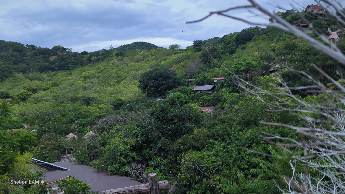 A green hillside under a pale sky, shot on LAM with CCD 2000